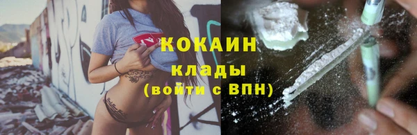 прущие крисы Каменка