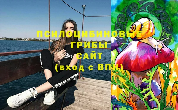 твердый Каменногорск