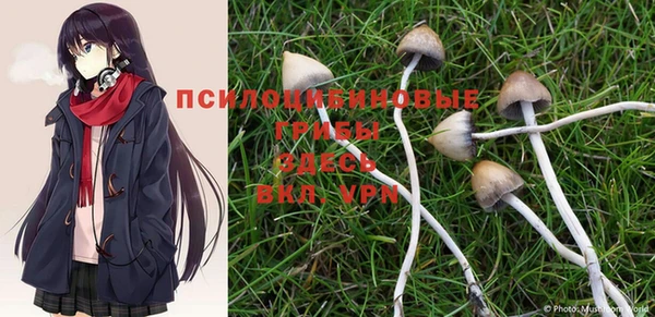прущие крисы Каменка