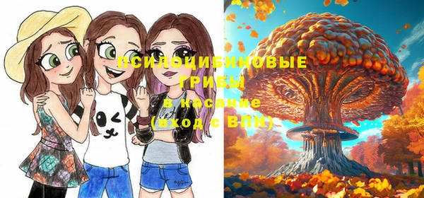 твердый Каменногорск