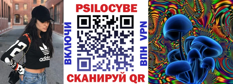 Купить где  Белореченск  Псилоцибиновые грибы Psilocybine cubensis 